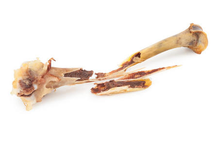 断了的鸡骨股票汤鲜鸡骨鸡骨鸡骨草西蒙露营小屋