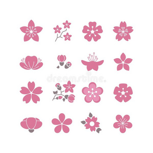 樱花粉红花，春樱花矢量图标设置