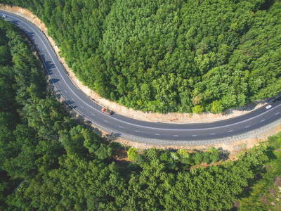 森林 曲线 美女 颜色 方向 风景 路面 自然 灌木 公路