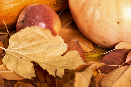 秋天背景，水果和蔬菜在黄色落叶，苹果和南瓜，装饰乡村风格，深棕色色调