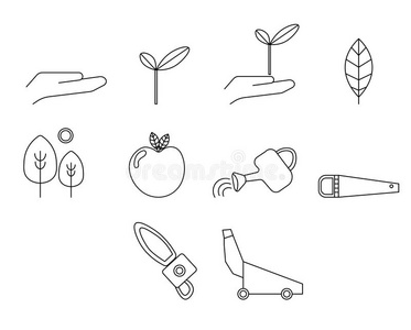生态学 苹果 感激 自然 偶像 生长 包装 情绪 园艺 插图