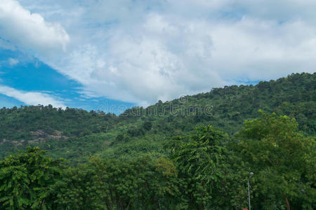 豪华 中间 积云 天堂 风景 美丽的 复制 气候 毛茸茸的