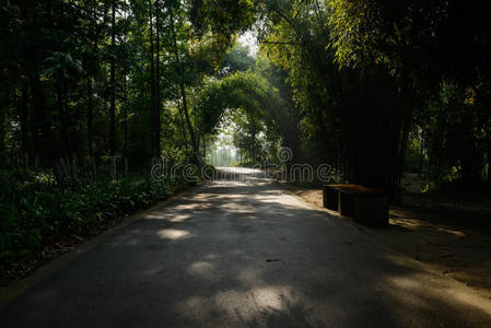 长凳 伍兹 瓷器 阴影 路面 竹子 夏天 早晨 伍迪