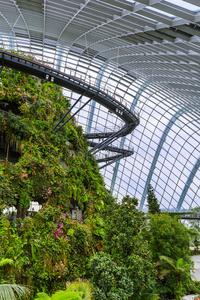 新加坡海湾旁花园的云森林穹顶