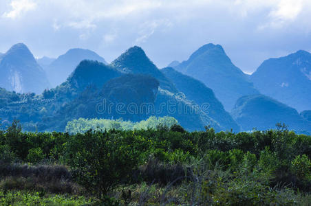 乡村 国家 绘画 公园 地平线 美女 美丽的 环境 帕克拉