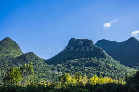 领域 绘画 桂林 森林 自然 美女 环境 风景 林地 外部