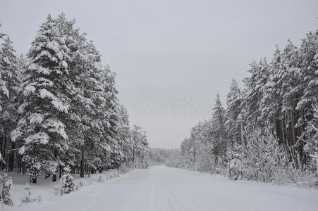 雪路