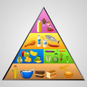 食物金字塔部分由