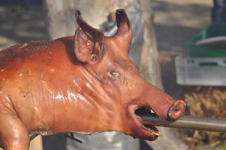 烤的猪的头烤猪头照片