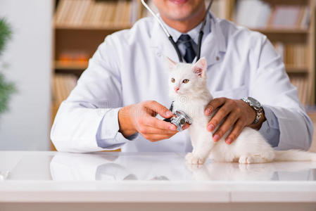 可爱的 照顾 健康 诊所 医疗保健 职业 猫科动物 基蒂