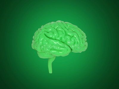 大脑模型三维渲染图像
