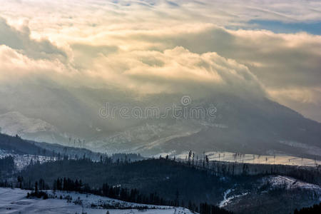 美丽的 环境 童话 寒冷的 季节 喀尔巴阡山 冷杉 斜坡