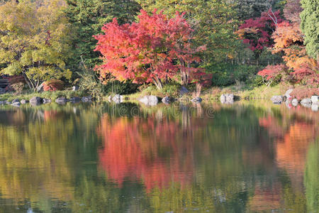 日本花园的秋天景观