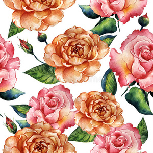 花瓣 打印 草地 罗莎 水彩 植物 纹理 花的 绘画 玫瑰