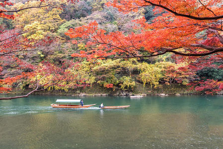 京都 枫树 树叶 分支 自然 日本人 日本 颜色 形象 秋天