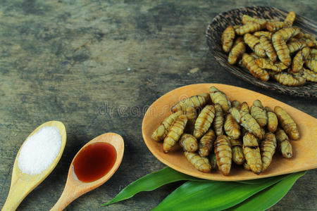 野生动物 蠕虫 缺陷 动物 油炸 蛋白质 泰语 酸的 胡椒粉