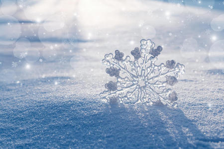 闪烁 冬天 季节 雪花 要素 明星 庆祝 闪光 日出 自然