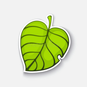 带有绿色树叶的卡通贴纸照片