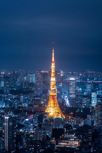 夜间从罗彭吉山俯瞰东京塔和东京城市景观。