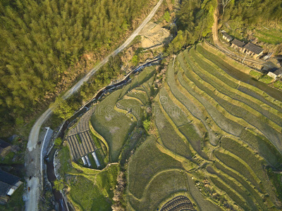 春季梯田景观航空摄影