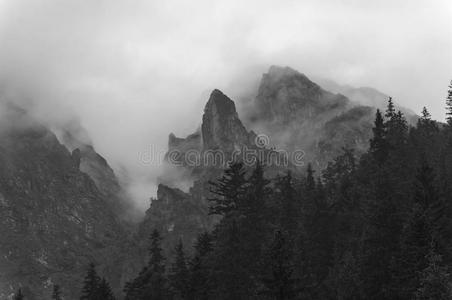 高的 自然 风景 岩石 徒步旅行 高峰 石头 薄雾 旅行