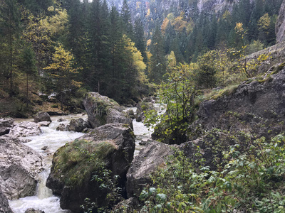 欧洲 美丽的 旅行 公园 国家的 风景 小溪 运动 自然