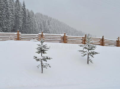 美丽的 公园 美女 酒店 场景 土地 降雪 寒冷的 斯诺