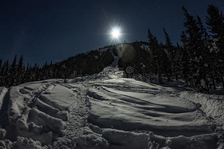 自由的 追踪 雪堆 阿尔卑斯山 星星 求助 森林 娱乐 斜坡