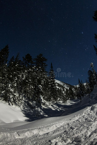 娱乐 小山 自由的 极端 滑雪 穷乡僻壤 斜坡 森林 运动