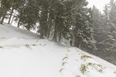 暴风雪 环境 薄雾 海岸 涟漪 假日 风景 岩石 熔化 喀尔巴阡山