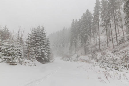 薄雾 泼洒 暴风雪 假日 冰川 环境 气候 风景 遥远的