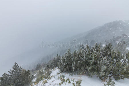 薄雾 暴风雪 岩石 涟漪 斯通 寒冷的 徒步旅行 遥远的