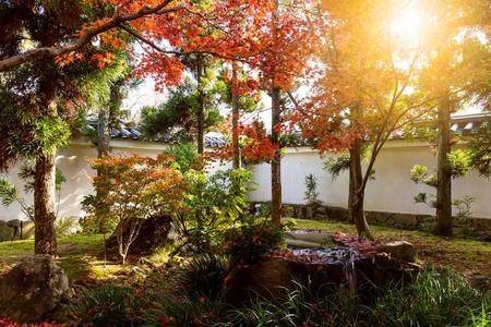 全景图 秋天 花园 枫树 风景 科肯 落下 公园 植物 池塘