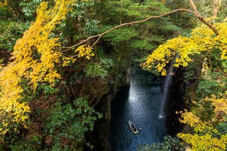 山谷 日本 风景 瀑布 乡村 自然 秋天 亚洲 森林 公园