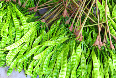 农业 草本植物 烹饪 特写镜头 泰语 南方 食物 营养 泰尔