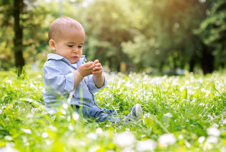 黛西 快乐 美丽的 男孩 面对 草坪 可爱的 宝贝 草地