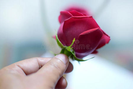 给你一朵小红花图片