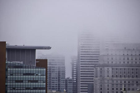 雾在放大的城市