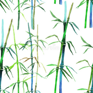 颜色 日本人 绘画 插图 薄的 自然 中国人 竹子 花的