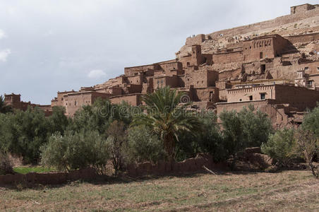 地图集 要塞 防御工事 公司 摩洛哥人 非洲 建筑学 马拉喀什