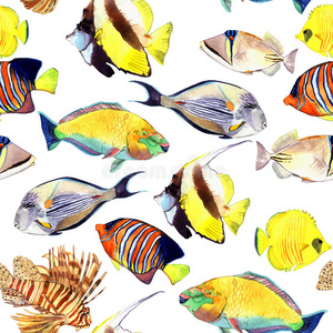 油漆 深的 鹦鹉 颜色 插图 水族馆 绘画 收集 文件 可爱的