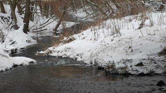 小溪在树林里自然，冬天流水，小河在雪地里景观