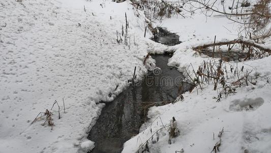 小溪在树林里冬天流水，小河在大自然中的雪景