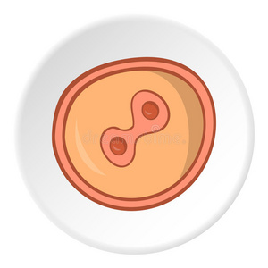 受精卵图片-受精卵素材-受精卵插画-摄图新视界