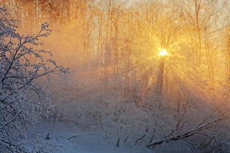 地峡 早晨 俄罗斯 冬天 射线 太阳 莫斯科