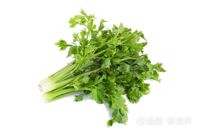 白底芹菜