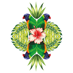框架 艺术 树叶 夏威夷 镜子 绘画 鹦鹉 金刚鹦鹉 棕榈