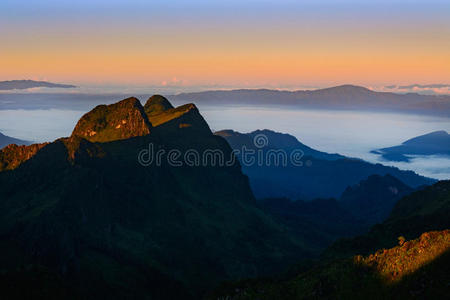 薄雾 美女 风景 森林 场景 日落 自然 朦胧 日出 美丽的