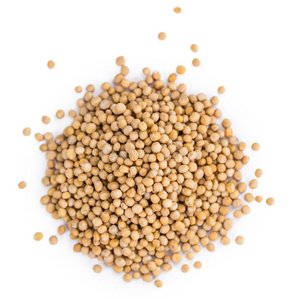 芥子白芥子照片