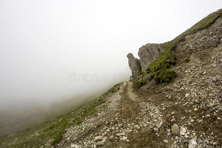 风景 罗马尼亚 登山 岩石 森林 徒步旅行 公园 低的 阿尔卑斯山